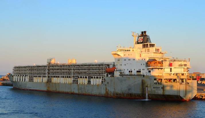 'Live animal export corruption' 3