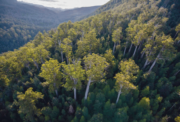 Abbott-Abetz: Environment? What environment? 3