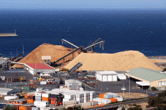 As fumigation starts, 'Labor and Forestry Tasmania must explain whole log exports' 3