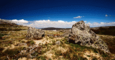 Alpine parks face threat of hotter, dryer climate 4 Alpine parks face threat of hotter, dryer climate 4