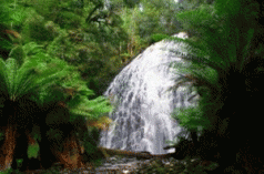 Adventure championships showcase the Tarkine 4 Adventure championships showcase the Tarkine 4