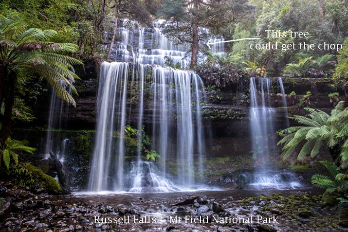 Has Tasmania’s Parks & Wildlife Service lost the plot big time? 3