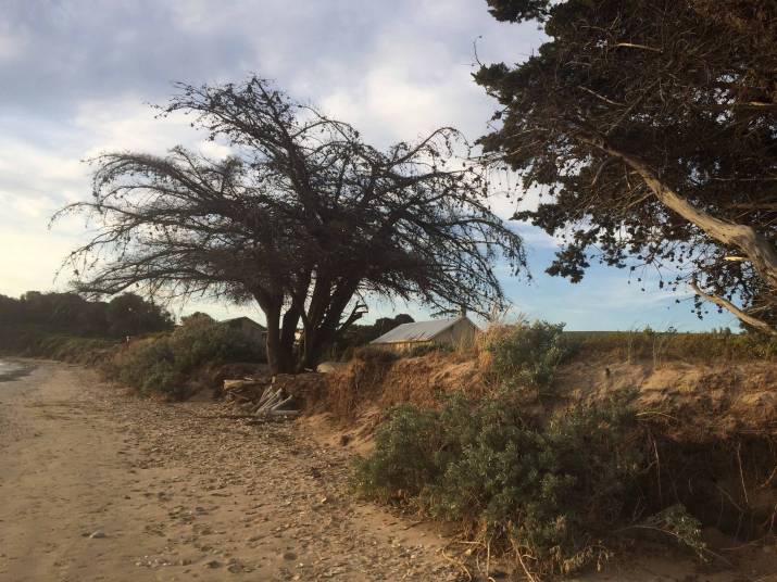 Community required to pay for public land management 3