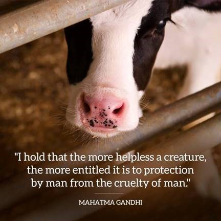 Dear Rebecca ... 3