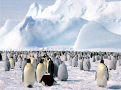 Antarctic gateway must be maintained 3
