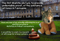 The Tasmanian Fox Farrago* 3