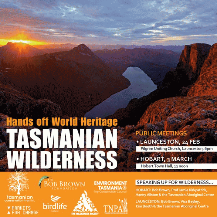 Environmental Groups rally local, national & global support for Wilderness 3