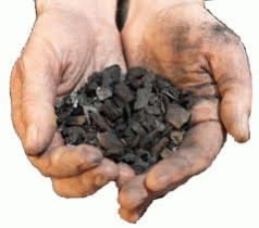 Biomass burning ... the better plan 4 Biomass burning ... the better plan 4