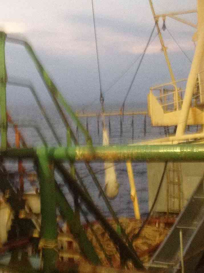 The Inconvenient Truth: Geelong Star and Basslink 3