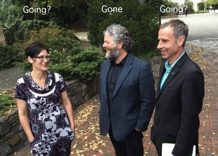 Tasmanian Greens Deep In Limbo - Where To Now? 3
