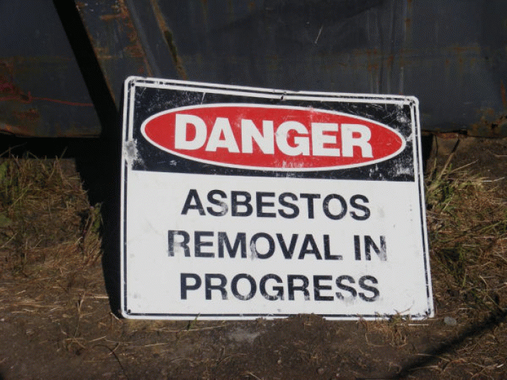 The asbestos fiasco 3