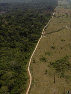 Climate deal cannot ignore rainforests 5