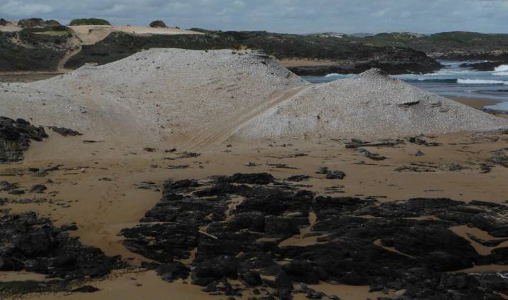 '‘Conservation tourism’ key to Tasmania’s success, if only Hodgman will allow it' 3
