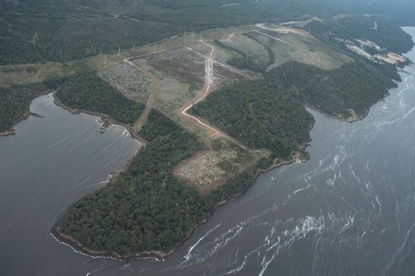 'Permits for the Tamar Valley pulp mill remain valid' 3
