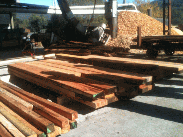 Countless millions of sawlog tonnes smashed, chipped, wasted ... 3