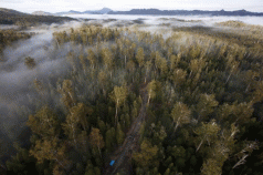 FSC: Member & stakeholder meeting in Tasmania 4 FSC: Member & stakeholder meeting in Tasmania 4