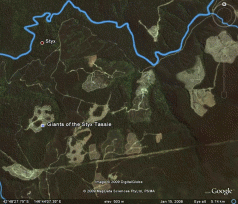 The old forest industry on steroids 3