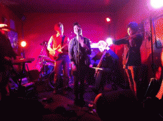 Help Little Bear: Tasmanian Times foster band! 4 Help Little Bear: Tasmanian Times foster band! 4
