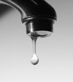 Greens continue push for clean waterways and drinking water 3