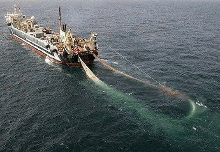 Fishery Consultation Another Tick-Box In The Super Trawler Story 3