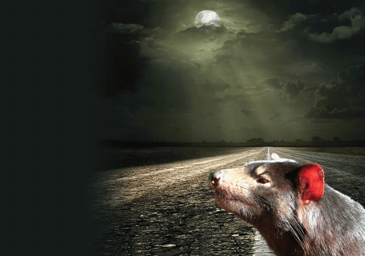 How it feels to be caught in the headlights ... 3