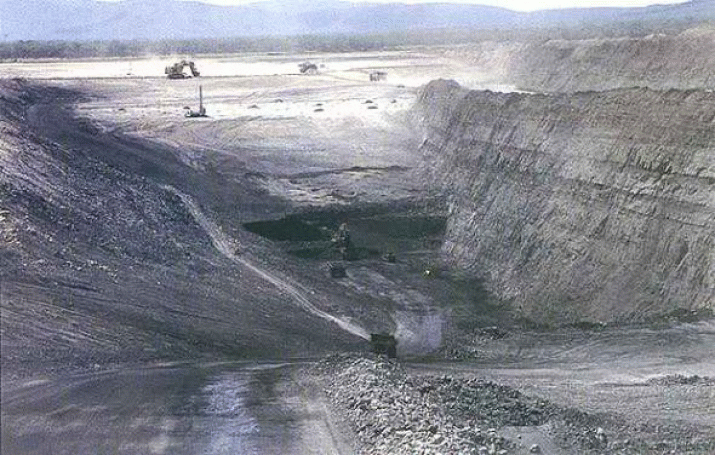 Future of Carmichael mine hinges not on skinks or snakes, but its business case 3