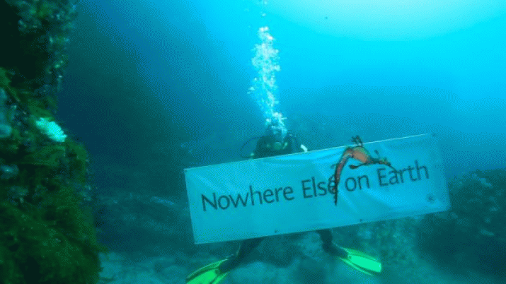 Abbott left in Obama's wake as US acts on ocean conservation. PLUS: Chaplains 3