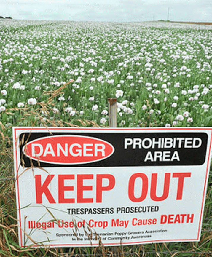 2013 Review of the Moratorium on GMOs in Tasmania 3