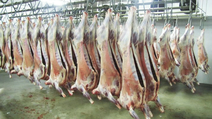 PETA letter to schools 'outrageous' 3