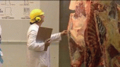 $12 million for the world's biggest meat company 3
