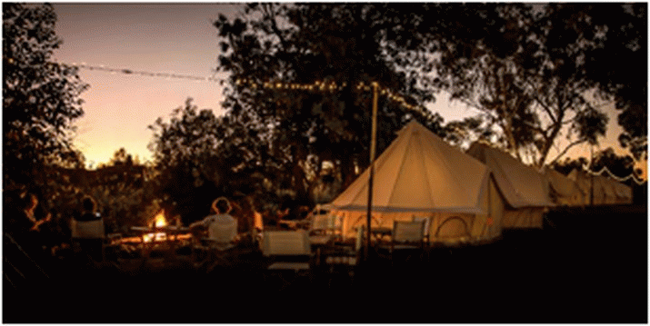 Flash-camp pops up on North Stradbroke Island 3