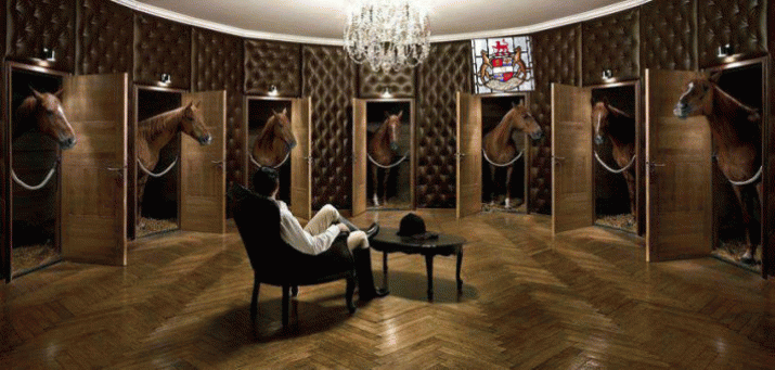 Stable Vision Takes Shape 1