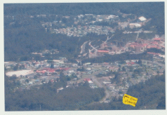 What action on sewage contamination for Rosebery residents? 4 What action on sewage contamination for Rosebery residents? 4