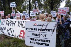 'Gunns has an unfortunate history of corporate dishonesty ...' 3