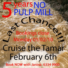 Last chance to cruise 5