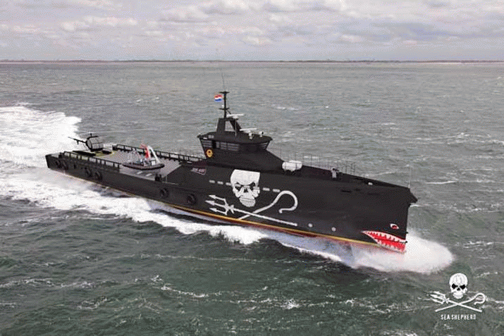 Sea Shepherd to spend $12m award on 'dream ship' to patrol Southern Ocean 3