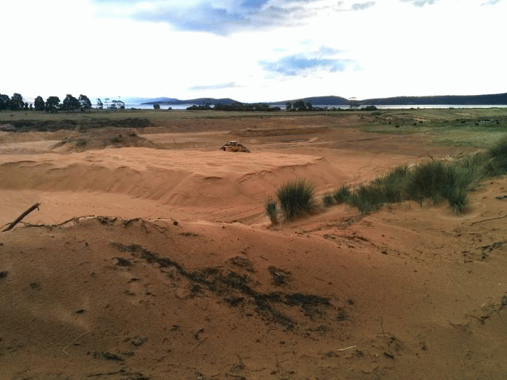 Head in the sand ... 3