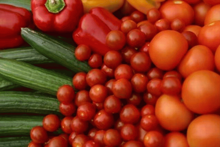 Support Séralini Team for New GMO & Pesticide Risk Research 3