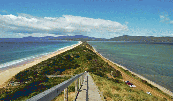 'Urgent Bruny Waste Problem Dismissed By Premier' 3