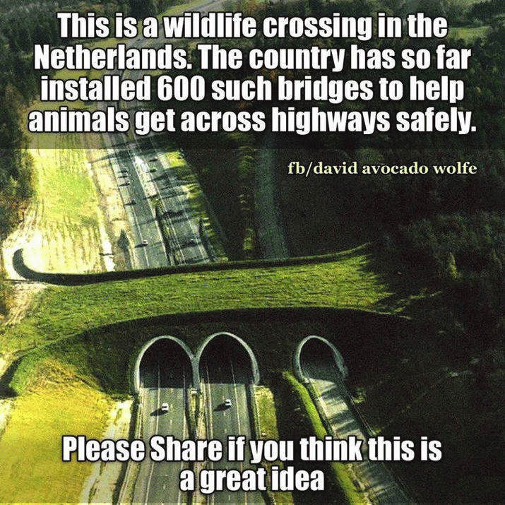 The way to stop devil deaths ... ? 3