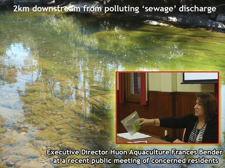 Corporate profits and 'jobs, jobs, jobs' appear to dominate in our Aquaculture industry 3
