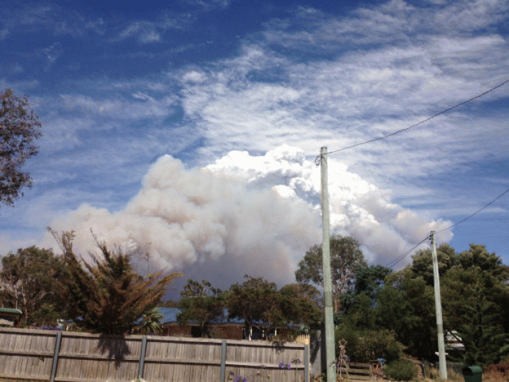 STATE: State enacts earliest ever total fire ban 4 STATE: State enacts earliest ever total fire ban 4