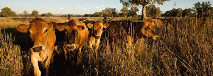 Cribb's dire warning on global food will be ignored at our peril 3
