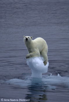 No Climate Change without People Change. 3