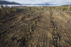 Banks Grow Wary of Environmental Risks 3
