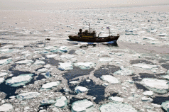 Sea Shepherd Repels Assaults 8 Sea Shepherd Repels Assaults 4