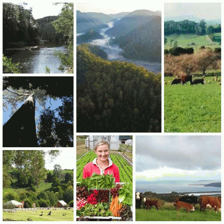 STATE: Is the UTG to be Tasmania's moral compass? 3