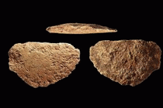 Oldest known stone axe found in Arnhem Land ... Older than Brighton? 3