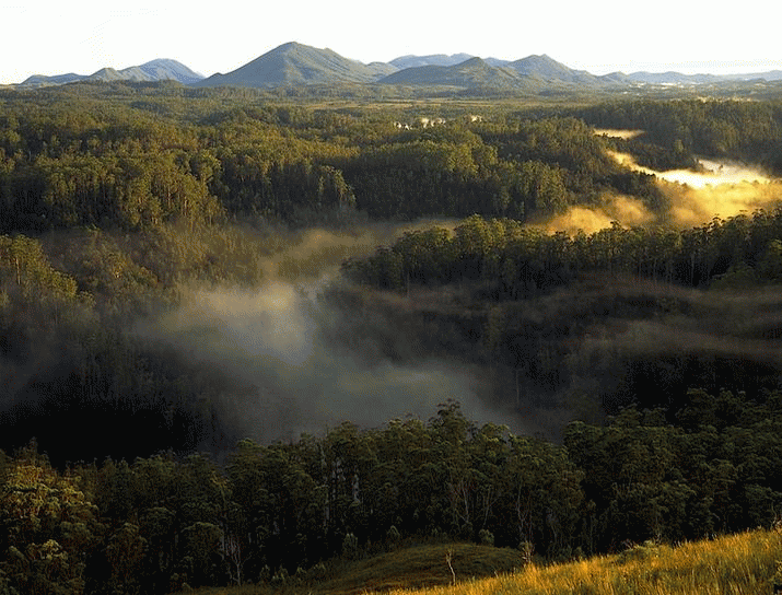 Tarkine - A National Park Beckons 3
