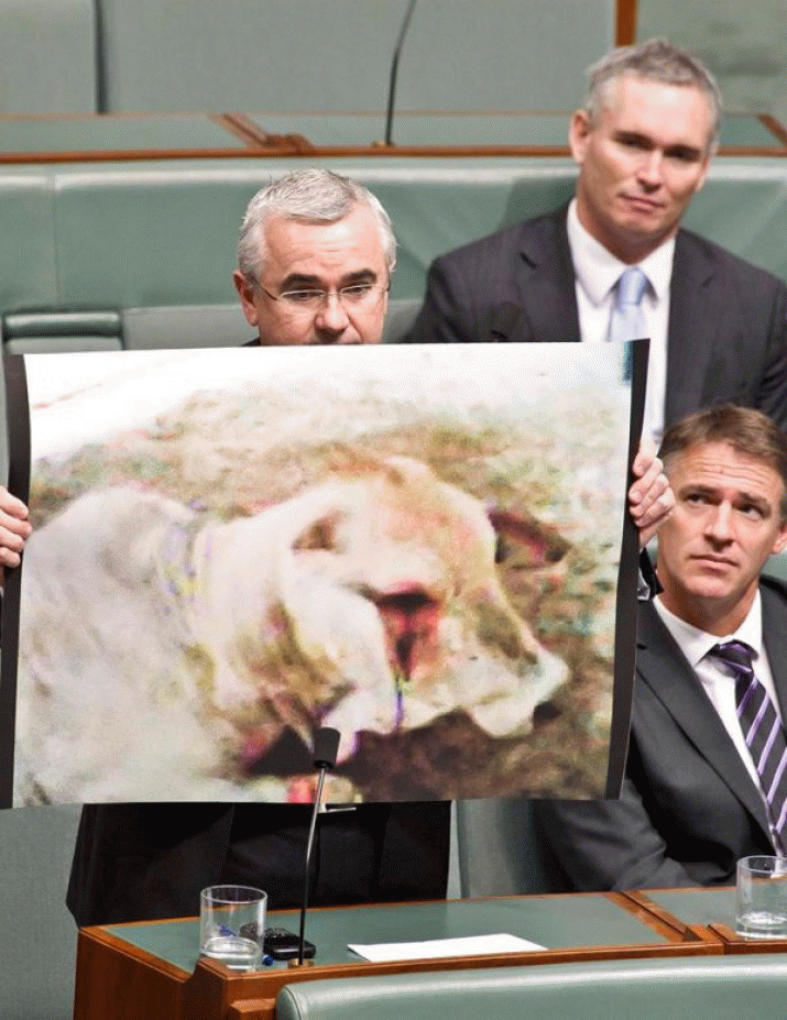 Barnaby Joyce hates sheep as well as dogs and cows! 3